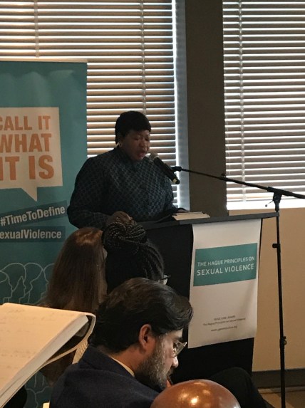 Sterio war crimes prosecutor